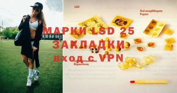 PSILOCYBIN Богородицк
