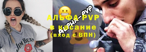 PSILOCYBIN Богородицк