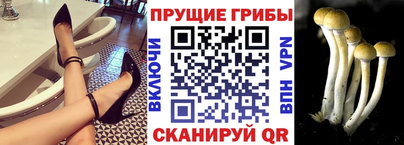 Галлюциногенные грибы мицелий  mega зеркало  Сим 